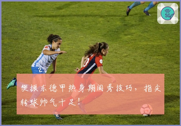 樊振东德甲热身期间秀技巧，指尖转球帅气十足！