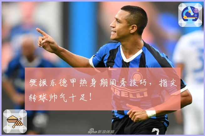 樊振东德甲热身期间秀技巧，指尖转球帅气十足！